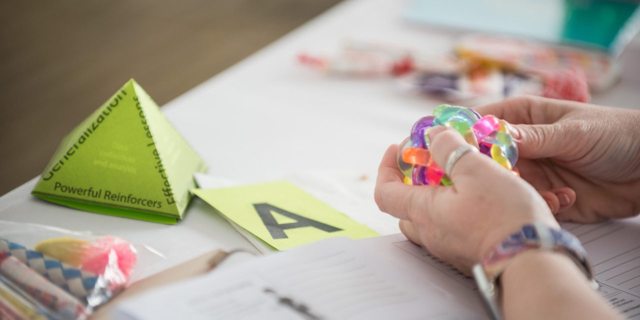 Pyramid Approach Training