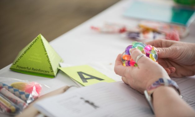 Pyramid Approach Training